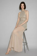 Load image into Gallery viewer, Champagne Gold Metallic Halter Maxi Dress
