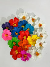 Load image into Gallery viewer, Tropi Flower Hair Pins
